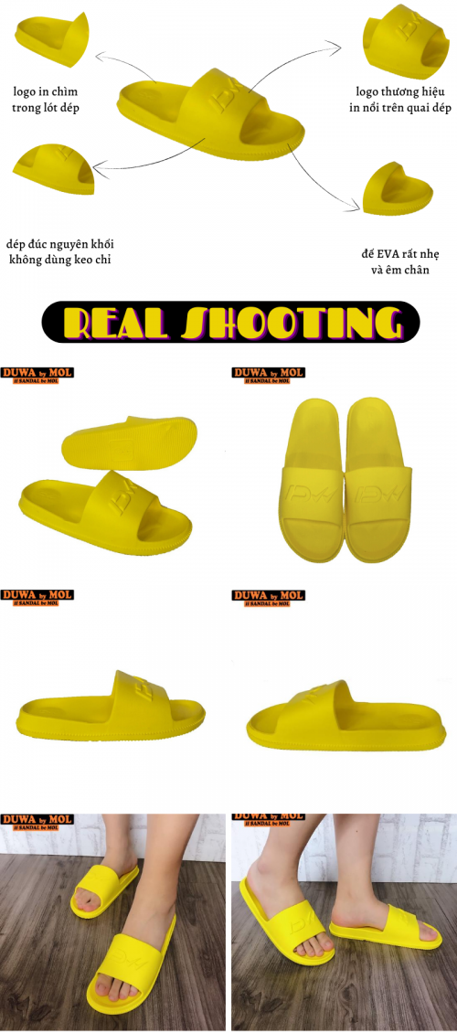 DH09Y-1.png