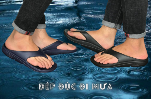 DH12.png