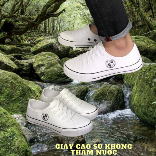 DH36.png