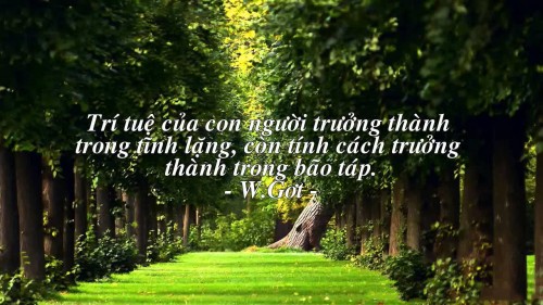 15-cau-noi-hay-ve-cuoc-song-dang-tran-trong-45726f7b10f93d.jpg