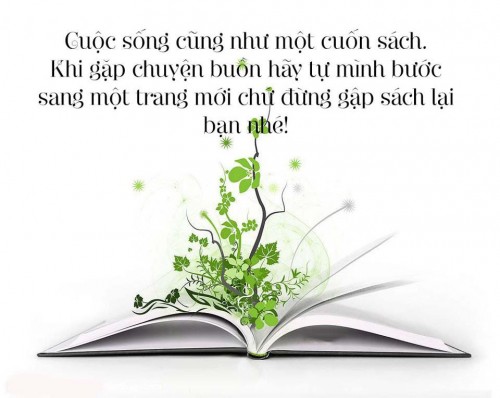 15-cau-noi-hay-ve-cuoc-song-dang-tran-trong-95726f7b14bd6b.jpg