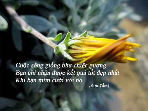 Danh-ngon-cuoc-song-y-nghia-1.jpg
