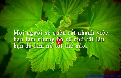 danh-ngon-cong-viec-141.jpg