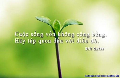 danh-ngon-cuoc-song-199.jpg