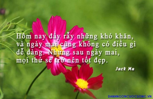 danh-ngon-cuoc-song-219.jpg