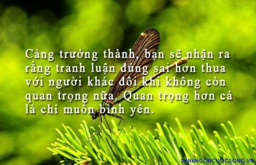 danh-ngon-cuoc-song-227.jpg