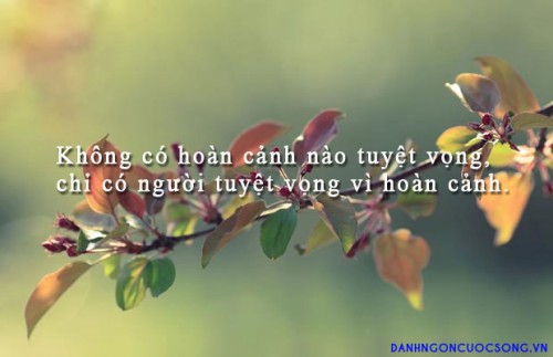 danh-ngon-cuoc-song-270.jpg