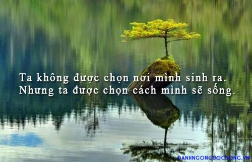 danh-ngon-cuoc-song-272.jpg