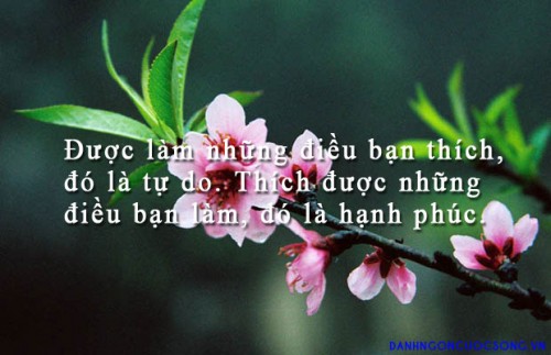 danh-ngon-hanh-phuc-231.jpg