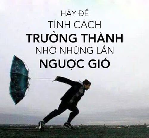 ngonnguhay.jpg