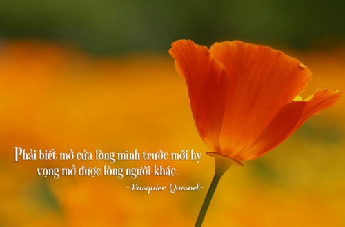 nhung-cau-noi-hay-nhat-ve-thai-do-song-y-nghia-1.jpg