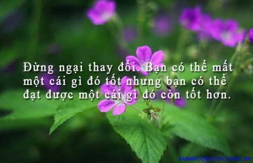 z1856643009638_035a287d908b17c2870e8b8338e00d04.jpg