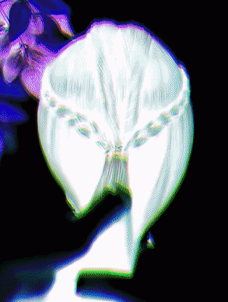 ezgif-7-cf5321513fdf.gif