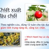 Dulcit--gian-tinh-mach-20