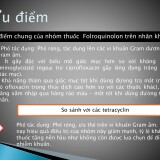 Dropstar-vs-Qnovid-mo---tinefin-21