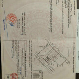 87da1c9917aedcf085bf