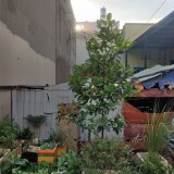 IMG_20211211_161038