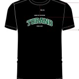 TS301