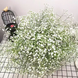 Baby-trang-bong-nh-