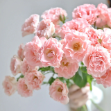 Hong-Chum-Xoan-May-Hong-