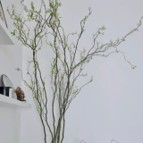 La-Salix