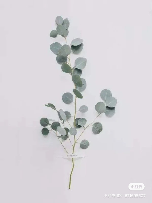 image1ed69f09143dd12c.png