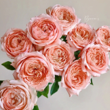 Hong-Chanel-