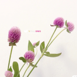 Thien-Nhat-tim-