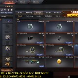 crossfire-2022-11-14-21-10-23-384_result