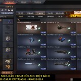 crossfire-2022-11-14-21-10-31-689_result
