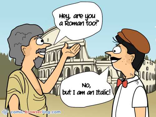 extra-rome-dribbble.png