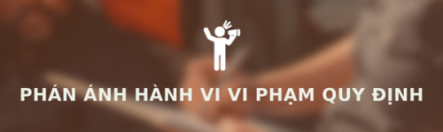 phananhhanhviviphamquydinh.png