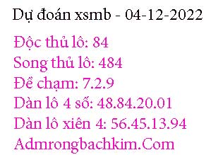 du-doan-xsmb-04-12-2022-tim-219-299.jpg