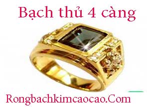 bach-thu-4-cang-do-215-295.jpg