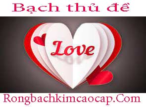 bach-thu-de-do-215-295.jpg