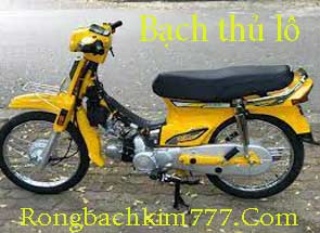 bach-thu-lo-vang-215-295.jpg