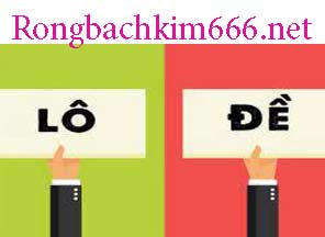 lo-de-tim-216-296.jpg