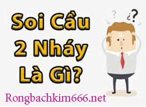soi-cau-lo-2n-nhay-tim-216-296.jpg