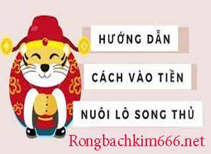 cach-vao-tien-lo-song-thu-nuoi-do-217-297.jpg