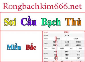 soi-cau-bach-thu-do-217-297.jpg