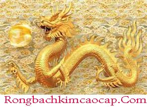 rong-bach-kim-cao-cap-com-do-216-296.jpg