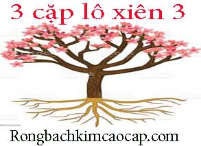 3-cap-lo-xien-3-do-213-293.jpg