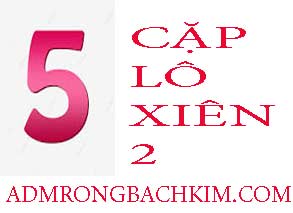 5-cap-lo-xien-2-do-213-293.jpg