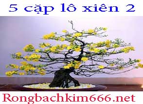 5-cap-lo-xien-2-do-214-294.jpg
