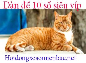 dan-de-10-so-sieu-vip-xanh-215-295.jpg