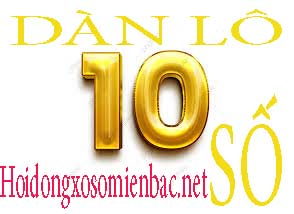 dan-lo-10-so-vang-214-294.jpg