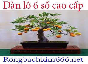 dan-lo-6-so-xanh-214-294.jpg