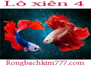 lo-xien-4-do-215-295.jpg