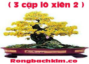 3-cap-lo-xien-2-do-215-295.jpg