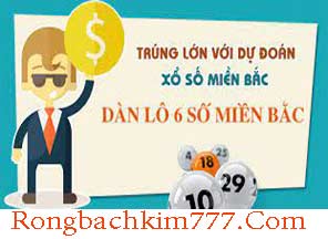 rong-bach-kim-777-dan-lo-06-so-do-216-296.jpg